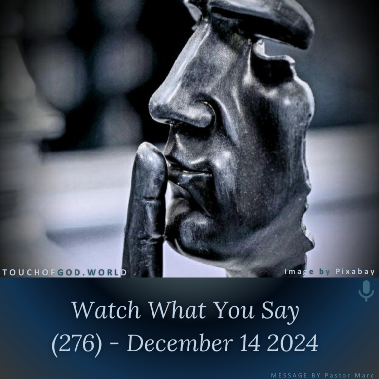 Watch What You Say (276) – December 14 2024